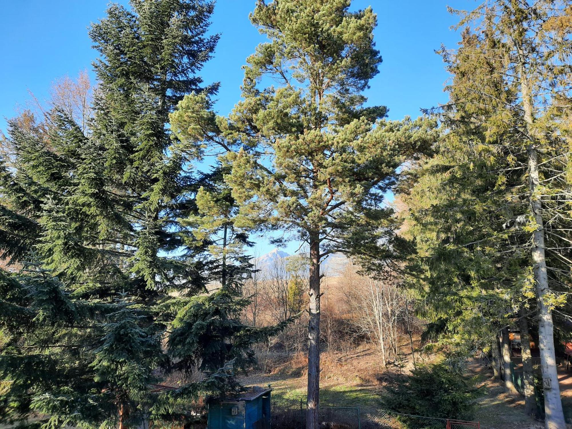 Vila Kamila Tatranska Strba Oda fotoğraf